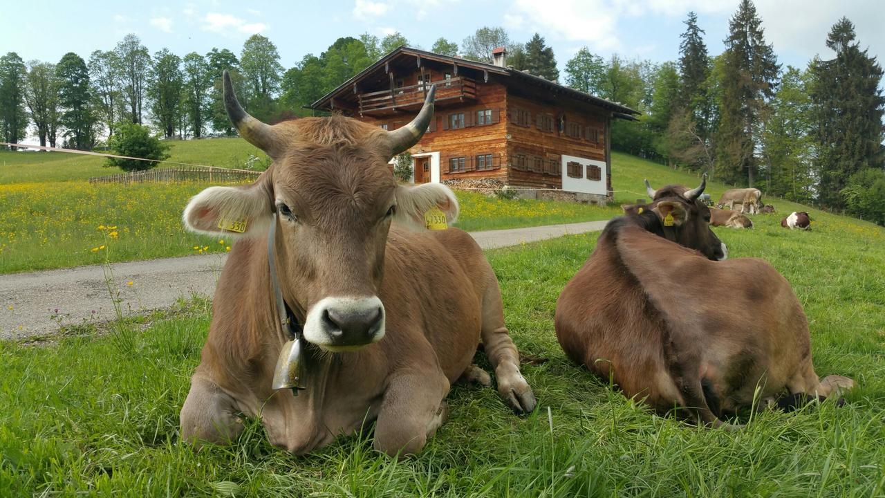 Hotel Cafe Fuggerhof Oberstdorf Eksteriør bilde